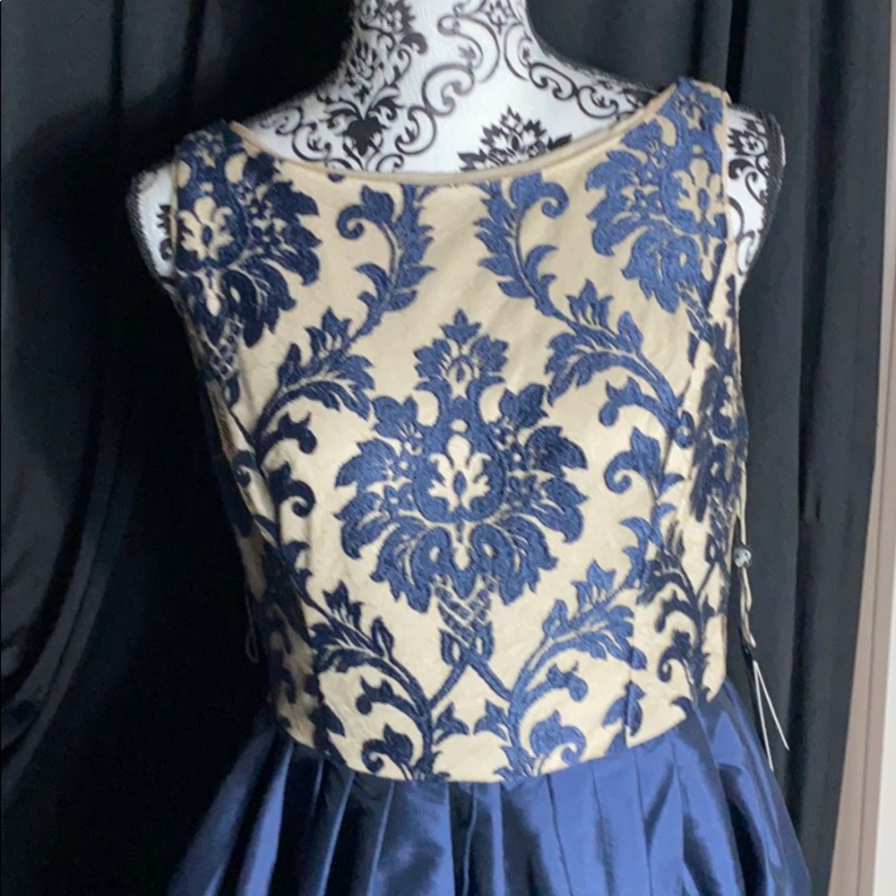 Adriana Papell dress